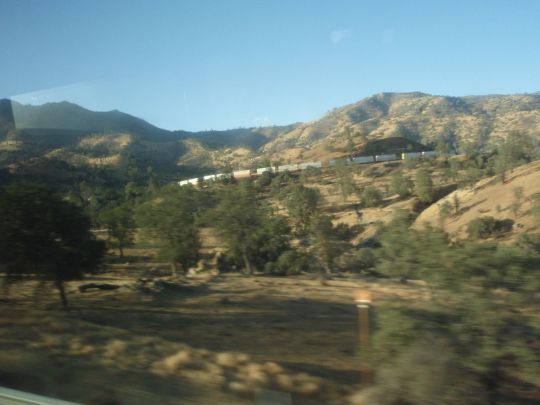 04-06 Un train perdu dans secteur legerement montagneux avec un peu plus de vegetation rabougrie